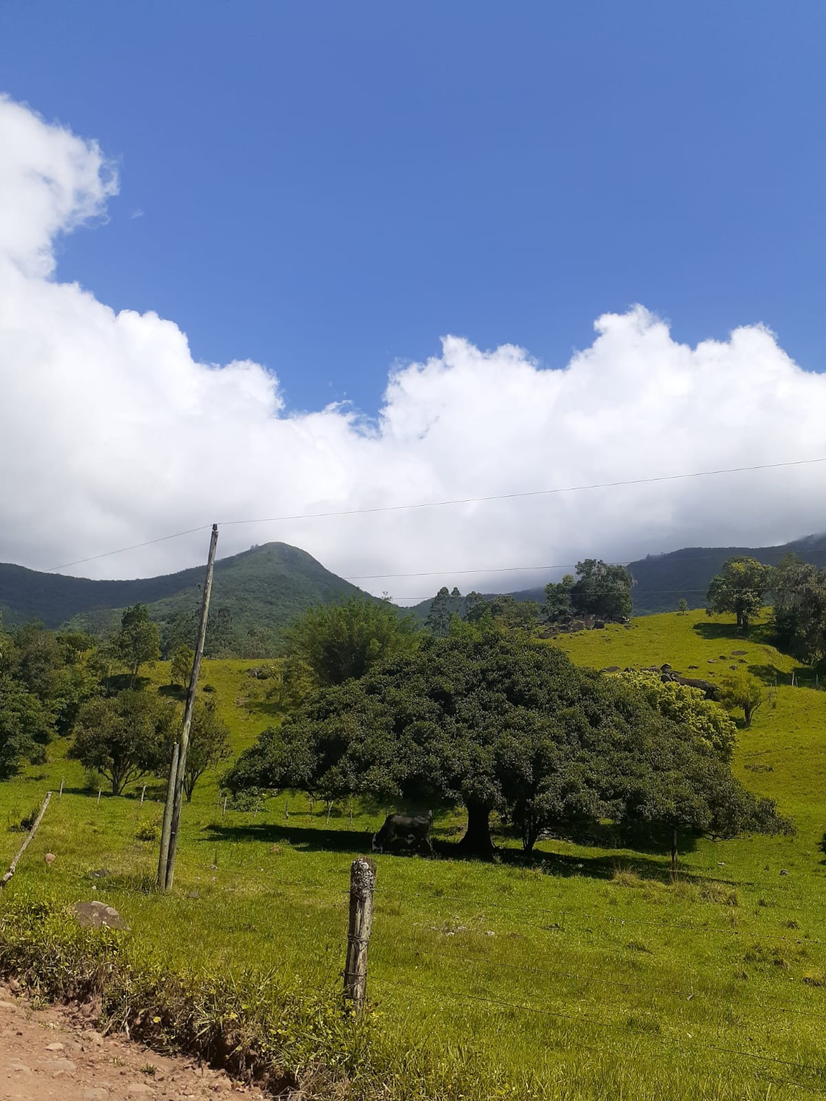 Trajetória 12